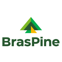Braspine