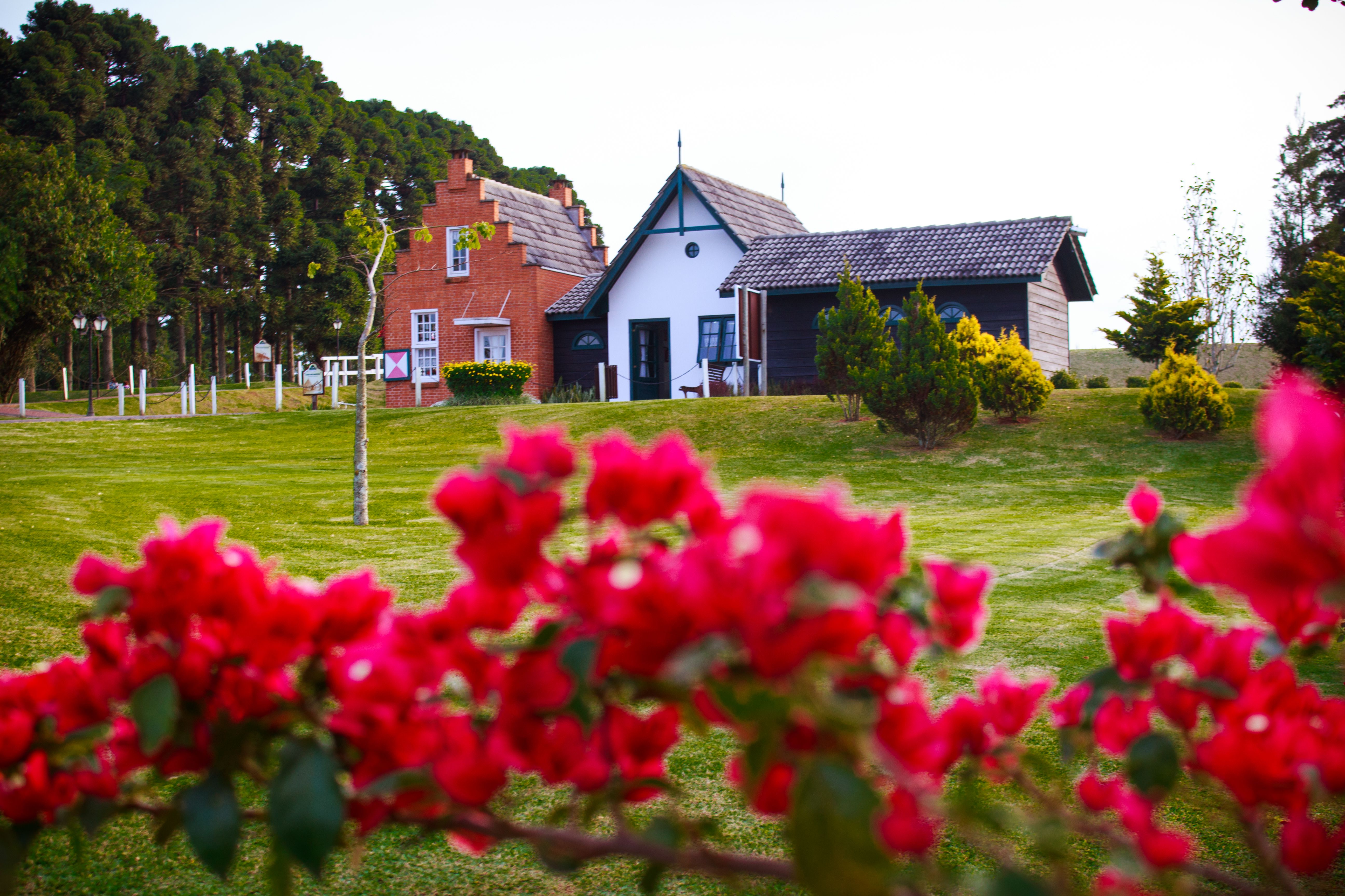 Parque Histórico prepara programação especial para Semana Nacional de Museus