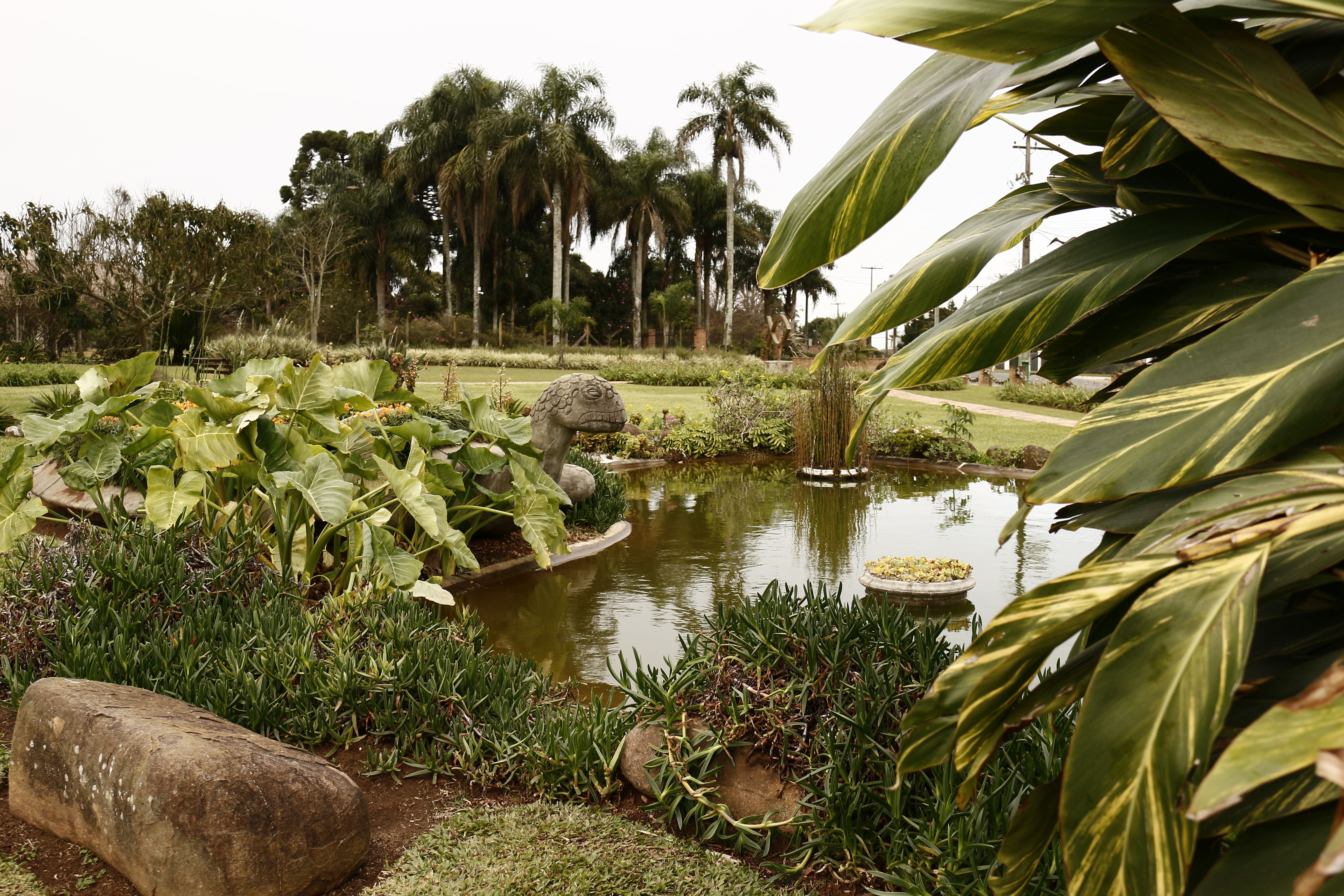 Preservação do meio ambiente é tema workshop no Parque Histórico