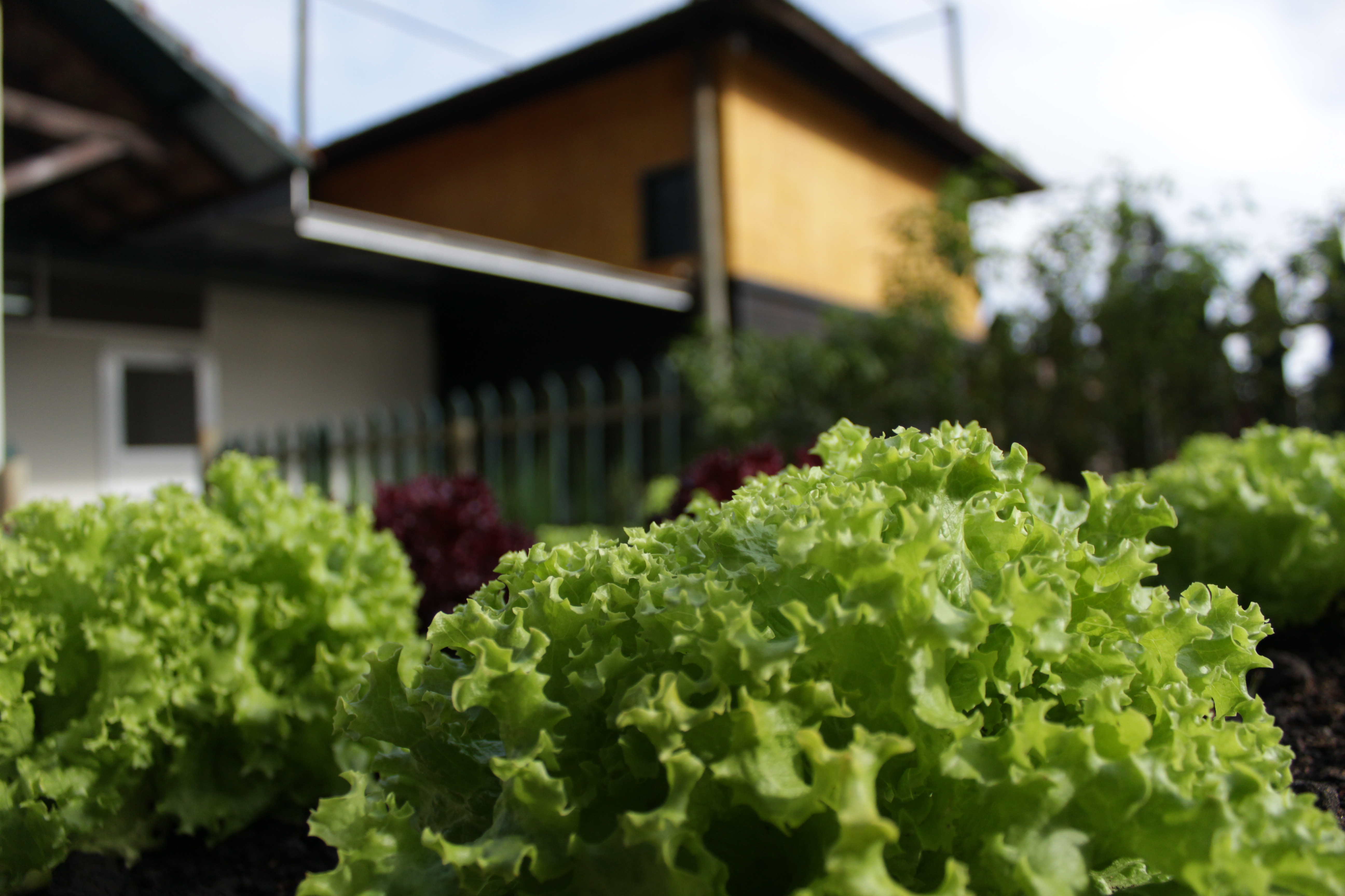 Política de sustentabilidade