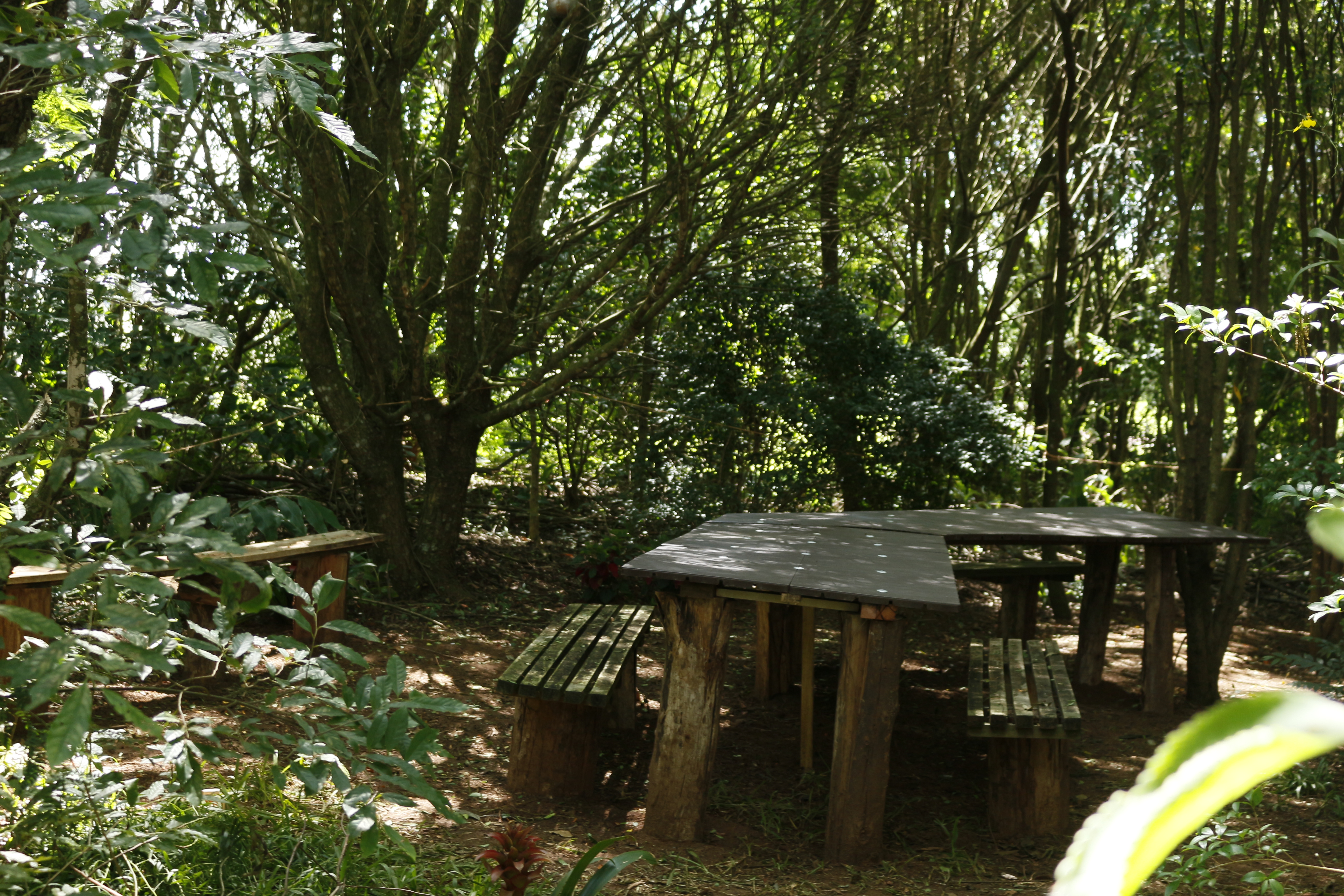 Área para piquenique é nova atração do Parque Histórico - ESPAÇO DESTIVADO DESDE 2022