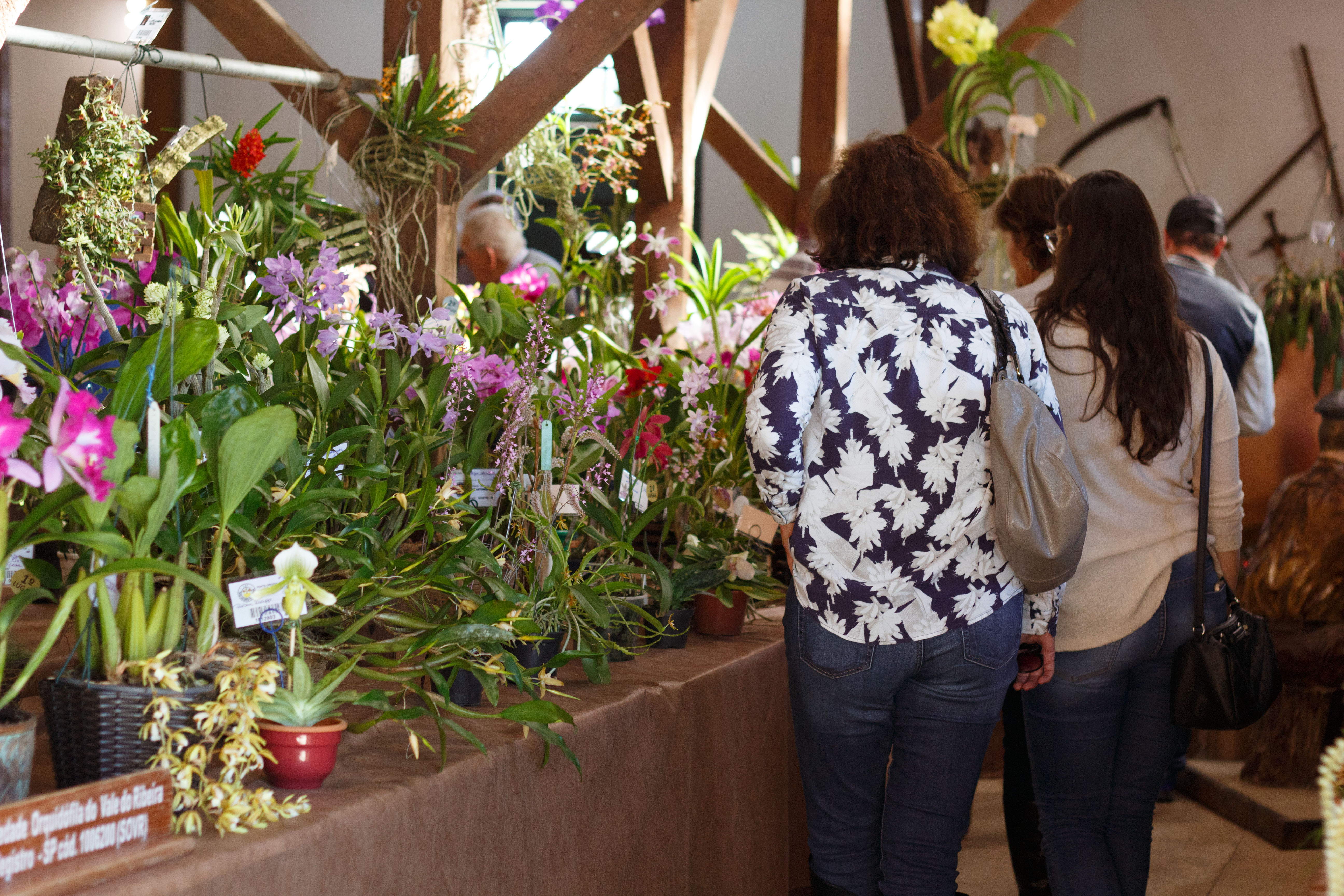 Parque Histórico receberá Exposição de Orquídeas, Cactos e Suculentas