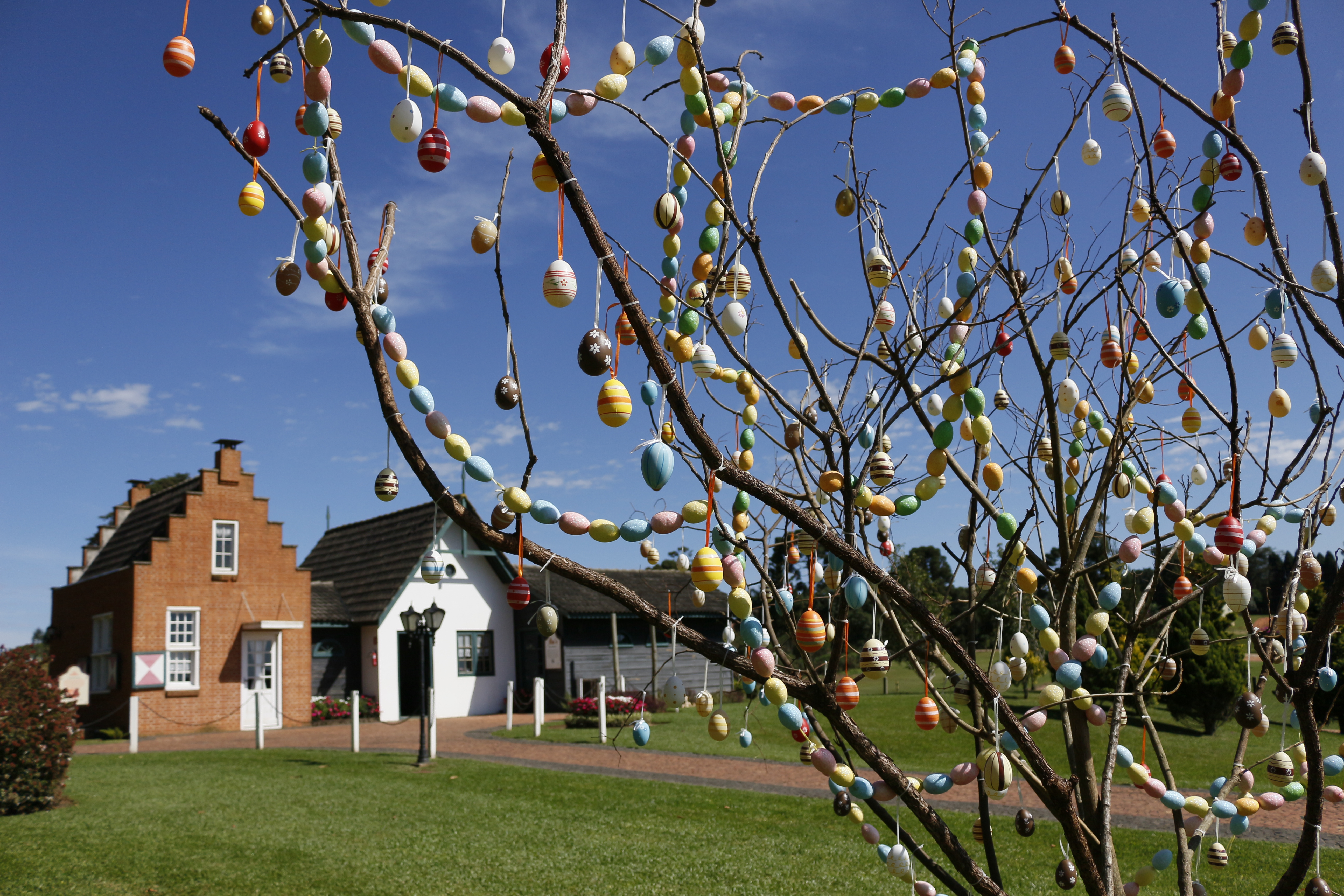 Árvore Pascal da tradição germânica é destaque no Parque Histórico