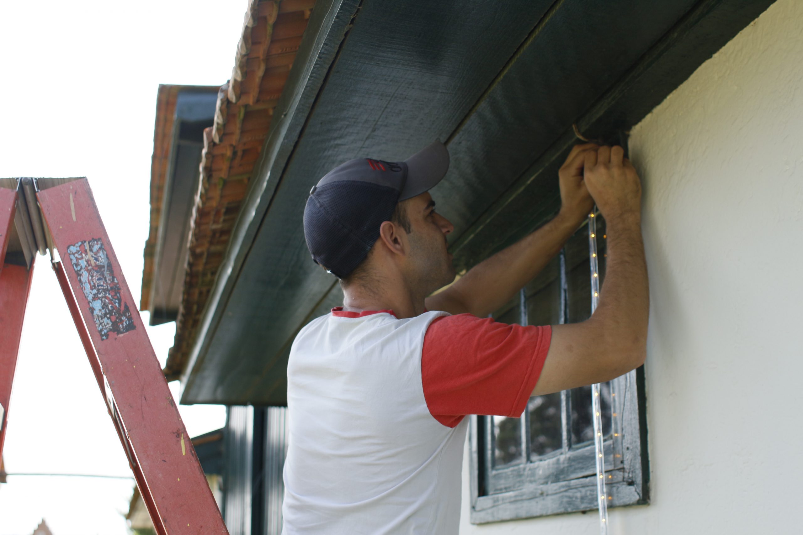 Natal no Parque terá mais de 7 quilômetro de mangueira de luz