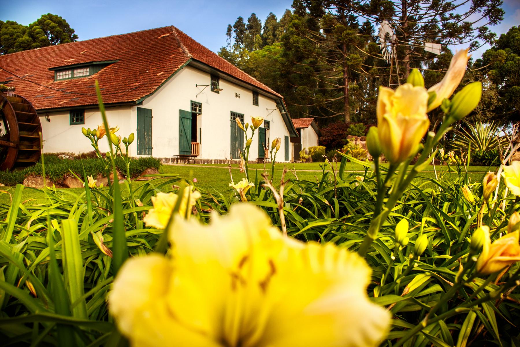 Museu Parque Histórico de Carambeí terá programação especial durante a Semana de Museus
