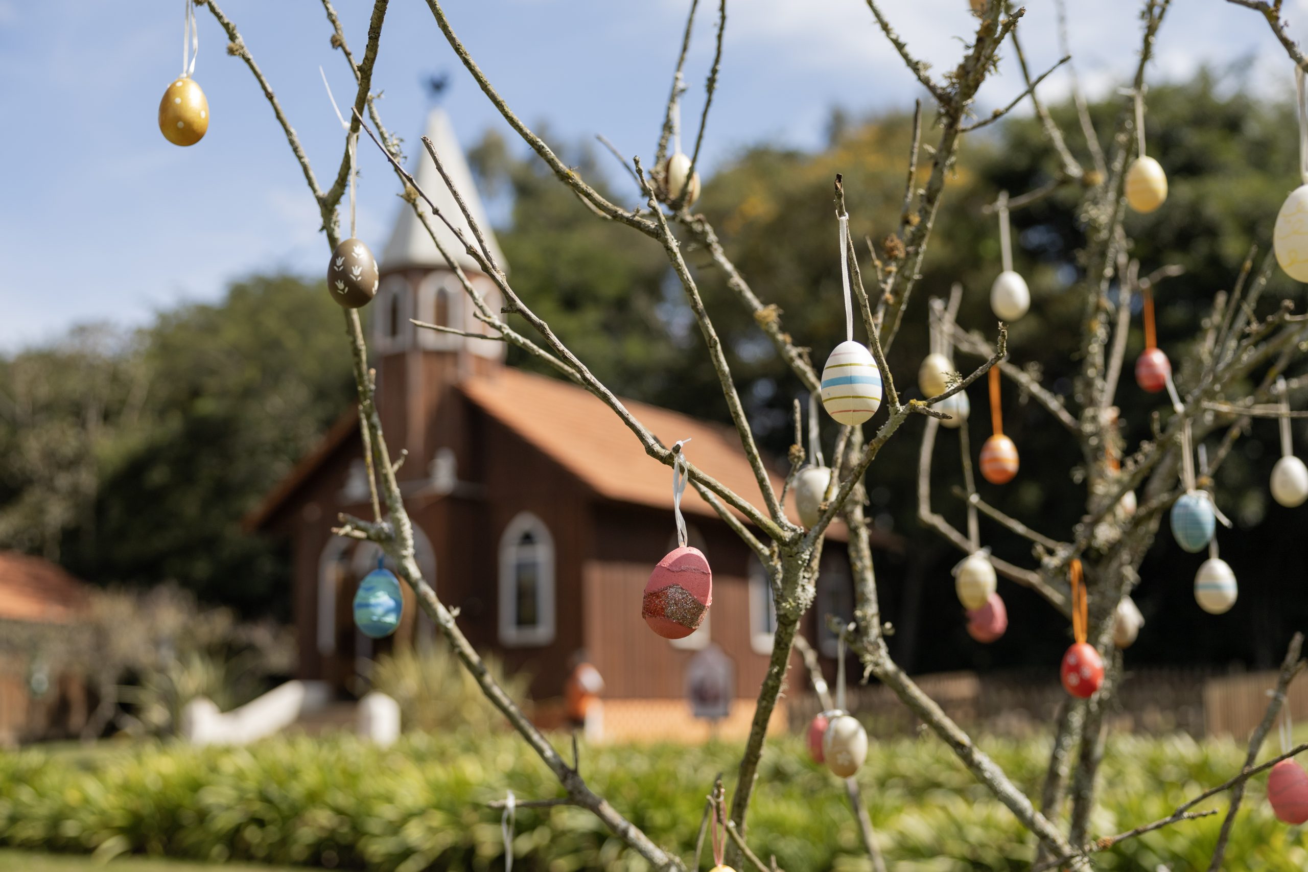 Alunos das escolas da rede municipal de ensino farão decoração de árvore pascal no Museu Parque Histórico de Carambeí